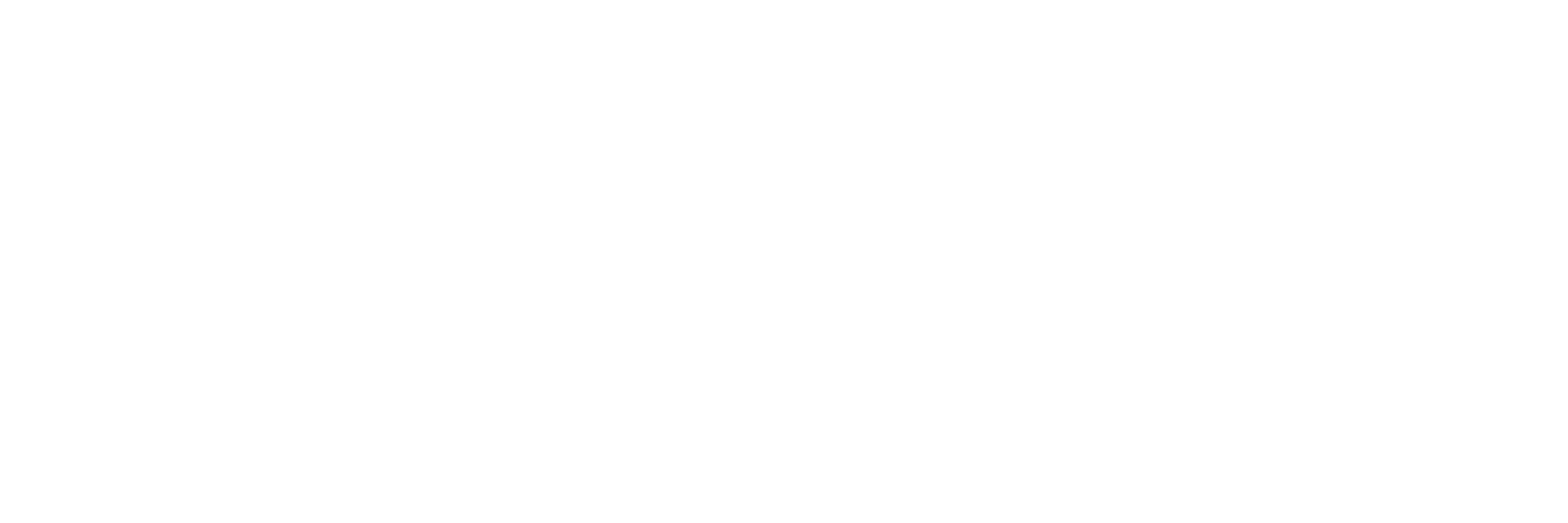 IBR Punta Arenas